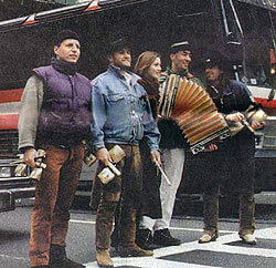 Alpinkatzen in New York