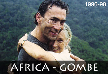 Africa - Gombe